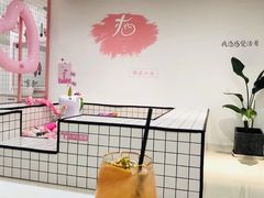 -大堂茶座