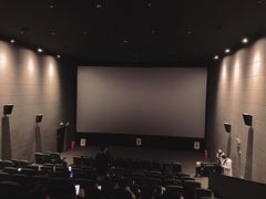 -CGV影城(滨江天街IMAX店)