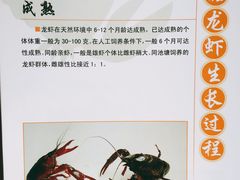 -中国盱眙国际龙虾节广场