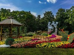 -上海共青森林公园