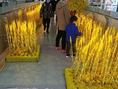 -巴黎春天(浦建店)