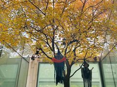 -WeWork中国(三里屯11号社区店)