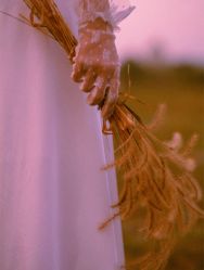 -女王风尚STUDIO·轻奢化定制