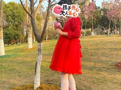-堤角公园