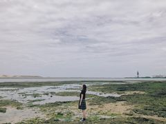 -濑长岛