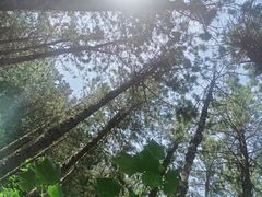 -昆嵛山石门里景区