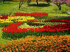 -国家植物园