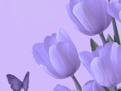 -紫丁香饭店-中餐厅