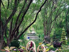 -上海共青森林公园