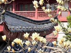 -堤角公园