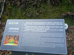 -本溪水洞