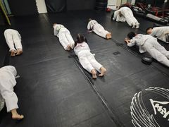 -金翼跆拳道巴西柔术拳击格斗学院