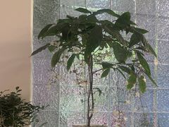 -沐森 •疗愈头疗馆(打浦桥店)
