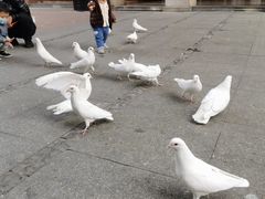 -王府井奥莱临潼小镇(临潼店)