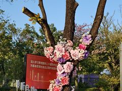 -云溪植物园
