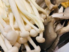 -T11生鲜超市(朝阳公园店)