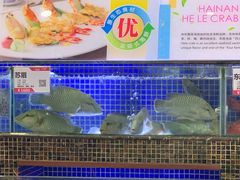 水产区-欢乐海岸美食联盟