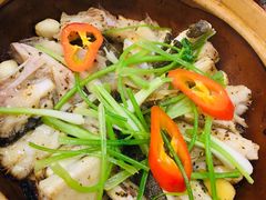 招牌焗多宝鱼-美极鲜食坊(宝安南路店)