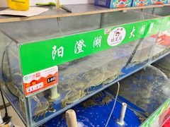 -阳澄湖大闸蟹·琼灵阁牌品牌连锁(吴中总店)