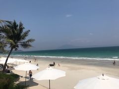 -锦尚阁烤鱼(望京新荟城店)