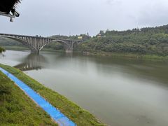 -龙泉人椰子鸡.糟粕醋.海南菜(三亚旗舰店)