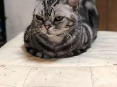 -小时光咖啡馆(北锣鼓巷店)