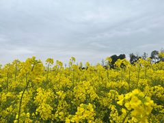 -中国天府农业博览园