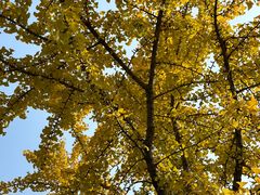 -苏州河梦清园环保主题公园