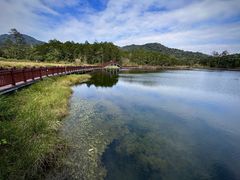 -海南热带雨林国家公园吊罗山景区