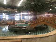 -南宫温泉水世界