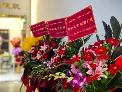 -美肤盾祛痘·问题肌头疗管理中心