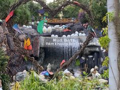 -100蛋泥浆浴