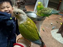 -正佳雨林生态植物园