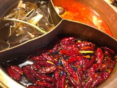 -小龙坎老火锅(北京三里屯店)