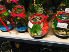 -酷乐潮玩(城西银泰城店)
