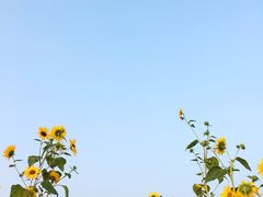 -石槽海滨浴场