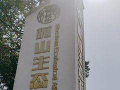 -树山生态村