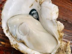 招牌原味蚝-四季美蚝皇