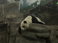 -鄂尔多斯野生动物园