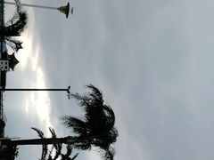 -集美鳌园景区