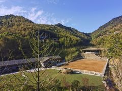 -宁海安岚·南溪阁全日餐厅
