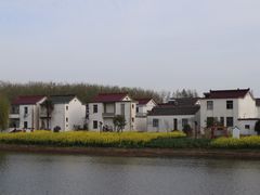 -渌洋湖湿地公园