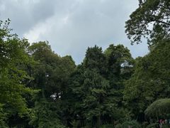 -成都杜甫草堂博物馆