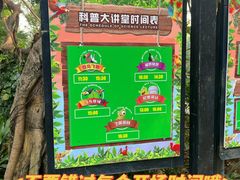 -广州长隆飞鸟乐园