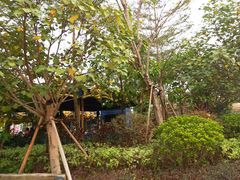 -美的鹭湖探索王国