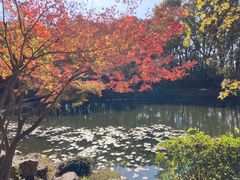 -灵谷景区