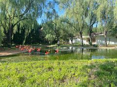 -石家庄市动物园