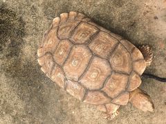 -厦门园林博览苑