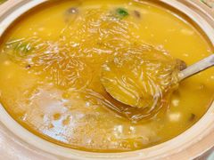 金汤鸡丝鱼翅羹-阿英煲(凉城路店)