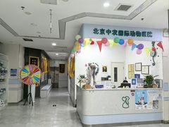 -中农国际动物医院24小时·猫科·骨科·急重症中心